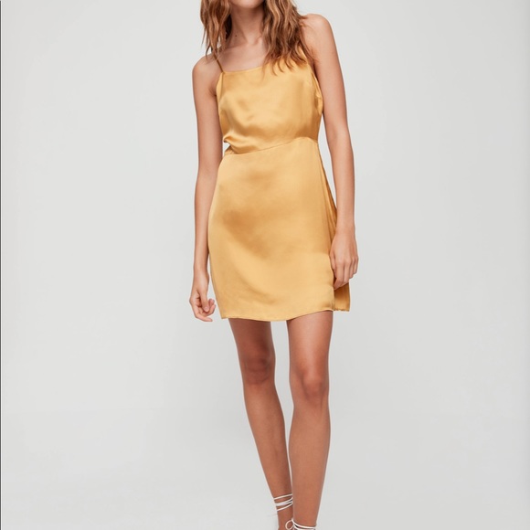 Aritzia Wilfred Isabelle Dress, in Olive Beige